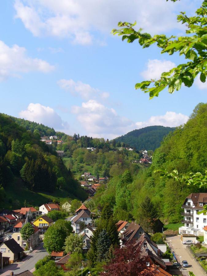 Landhaus Kathrin Walkenried Luaran gambar